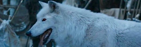 „Game of Thrones”: De ce contează lupii în luptă