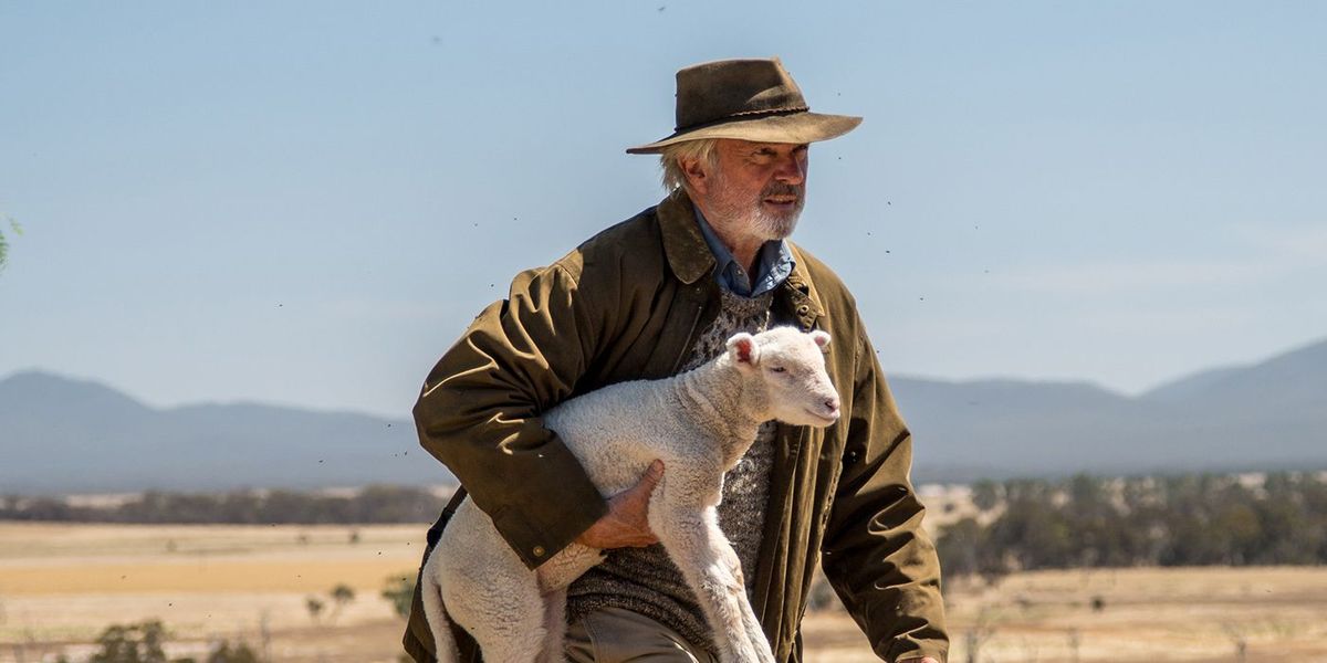 Sam Neill, ovejas y dulzura abundan en el tráiler de 'Rams'